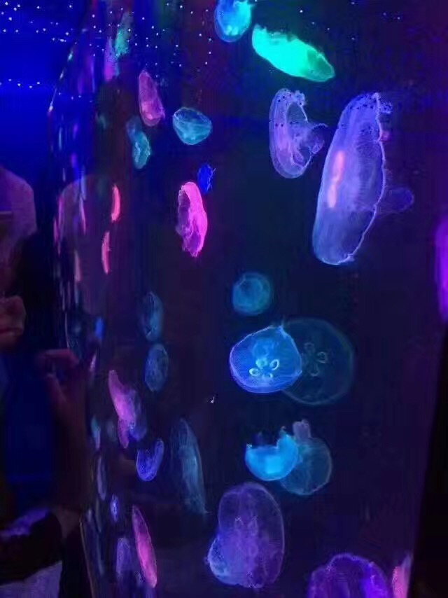 微信图片_20170313094412.jpg