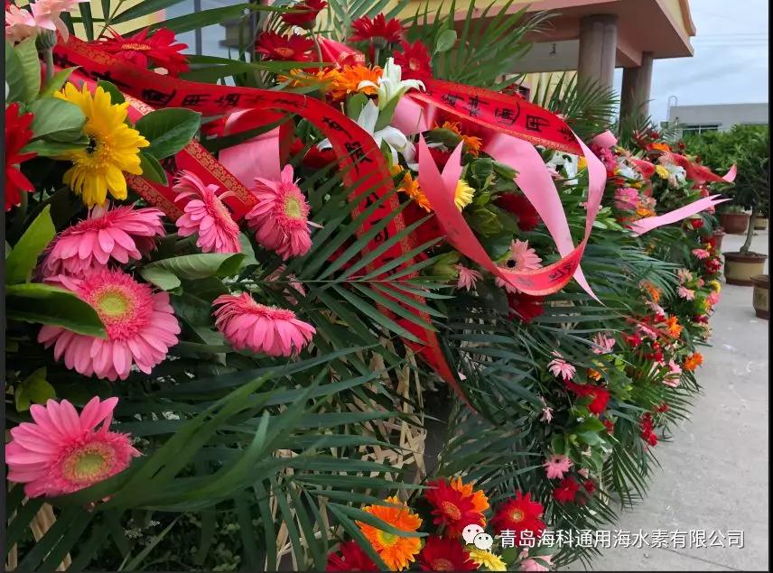 微信图片_20190604161651.jpg